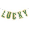 Shamrock Decorative Banners - Bullseye's Playground™ - 2 of 3