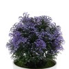 Unique Bargains Artificial Plants Frosted Pine Topiary Plastic 2.17"x2.17"x6.69" 1 Pc - 4 of 4