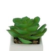 Unique Bargains Artificial Plants Ceramic Pot Plastic 2.01"x2.01"x2.95" 1 Pc - 4 of 4