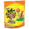 SOUR PATCH KIDS Candy Apple Fall Harvest - 10oz - 4 of 4