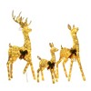 Champagne Cotton Rope Set of 3 Reindeer, Warm White LED Lights, Indoor/Outdoor Holiday Decoration 60" 48" 32" - 2 of 4