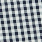 navy gingham seersucker