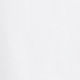 white medallion embroidery