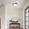 C Cattleya 14 in. Brushed Nickel Dimmable 30W LED Flush Mount Ceiling Light with Glass Shade - 4 of 4
