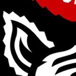 north carolina state wolfpack