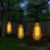 Festive Living G125 + LED Filament Outdoor Covered Patio Pendent Edison Replacement Bulbs, Warm White 2700K, E26 Medium Base - 3 of 4
