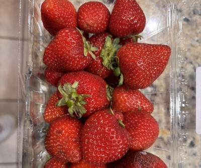 Guest review image 1 of 1, zoom in