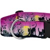 Country Brook Petz HossFit Jr Wide Deluxe Dog Collar - Halloween Collection - 4 of 4