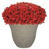 Classic Home and Garden Indoor/Outdoor Round Honeysuckle Resin Flower Pot Planter - 3 of 4
