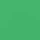 heather green - alligator