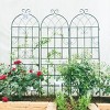 2 Pack Metal Garden Trellis, Rose Trellis Metal With 71" X 19" Rustproof Trellis For Climbing Plants, Rose Climbing Trellis-Cuddlewood - 2 of 4