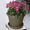 Bloem Terra Round Plastic Saucer Tray for Planters - 2 of 4