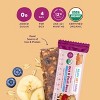 Ready, Set, Food! Blueberry Banana Oat and Fruit Bar Baby Snacks - 3.67oz/4ct - 3 of 4