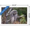 Trends International The Comedy Wildlife Photography Awards: John Blumenkamp - Monday Blahs Framed Wall Poster Prints - 3 of 4
