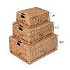 happimess Brooks Classic Farmhouse Woven Hyacinth Rectangular Storage Baskets with Lids and Handles - 4 of 4