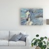 Trademark Fine Art -Albena Hristova 'Poseidon White Horse' Canvas Art - 3 of 4