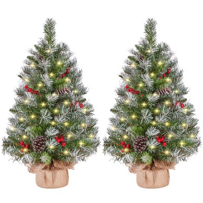 Yaheetech 2Ft/3Ft Set of 2 Frosted Tabletop Christmas Tree with LED Lights, Green