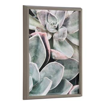 18" x 24" Blake Botanical Succulent Plants 1 Framed Printed Glass by the Creative Bunch Studio Gray - Kate & Laurel All Things Decor