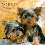 2023 Square Wall Calendar Yorkshire Terrier Puppies - StarGifts