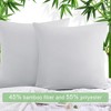 PiccoCasa Zipper Closure Breathable Luxury Viscose From Bamboo Pillowcases 2 Pcs - 2 of 4