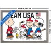 Trends International Team USA x Peanuts – Olympic Hockey Team Framed Wall Poster Prints - 3 of 4