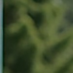 500 lbs | green + orange