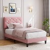 Twin/Full/Queen Size Velvet Upholstered Bed Frame with Tufted Headboard, Wood Slat Support, Noise-Free, Easy Assembly, No Box Spring Needed - 2 of 4