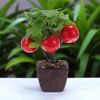 Unique Bargains Artificial Plants Plastic Orange 3.15"x3.15"x9.06" 1 Pcs - 2 of 4