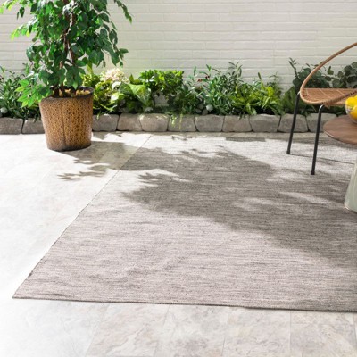 Gray Handwoven Synthetic Indoor/Outdoor 4' x 6' Rug