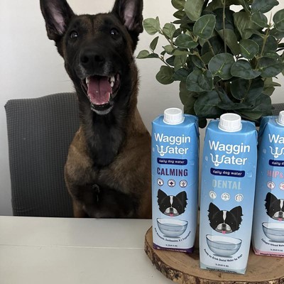 Waggin Water  Daily Dog Water