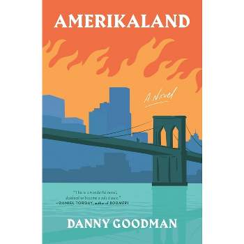Amerikaland - by  Danny Goodman (Paperback)