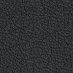 orlando city soccer club