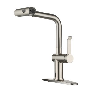 CASAINC Single Handle Pull Down Sprayer Kitchen Faucet with 3 Functions Spray - 1 of 4