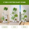 4 Tier Plant Stand, Tall Metal Shelf Holder for Indoor Outdoor, Corner Tiered Multiple Flower Plants Shelf Stand - 2 of 4