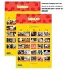 Stages Learning Materials Picture Recognition Bingo Games, Set of all 5 - image 2 of 4