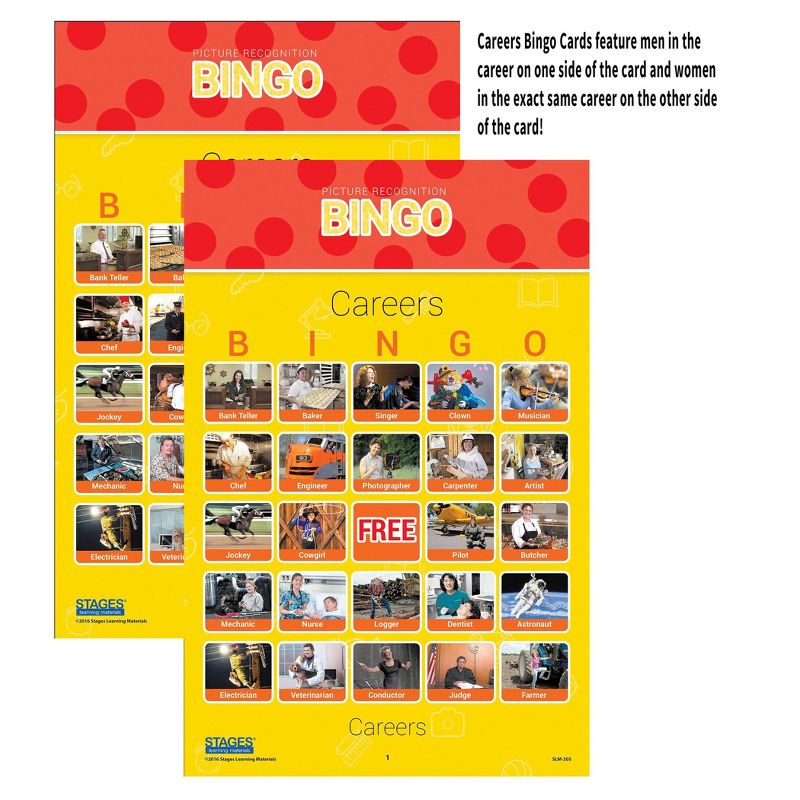 Stages Learning Materials Picture Recognition Bingo Games, Set of all 5, 2 of 6