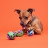 BARK Halloween Muttster Madness Zombie Head Ball Dog Ball Toy - 4 of 4
