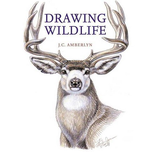 Drawing Wildlife - By J C Amberlyn (paperback) : Target