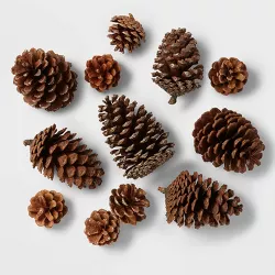 12ct Cinnamon Scented Pinecone Decorative Filler Natural/Glitter - Wondershop™
