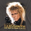 Men's Labyrinth Jareth T-Shirt - 2 of 4