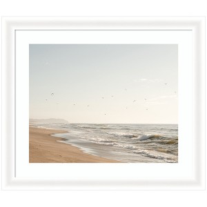 Kate and Laurel Framed Art Coastal Flight by Crystal Lynn Collins, 27x23, Oliver White Narrow - 1 of 4