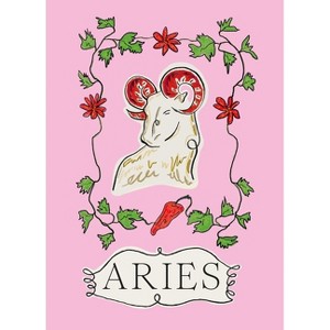 Aries - (Planet Zodiac) by  Liberty Phi (Hardcover) - 1 of 1