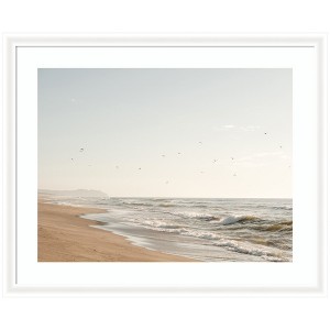 Kate and Laurel Framed Art Coastal Flight by Crystal Lynn Collins, 43x35, Oliver White Narrow - 1 of 4
