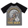 Star Wars The Mandalorian C-3PO Chewbacca Stormtrooper 3 Pack T-Shirts Little Kid to Big Kid - 3 of 4