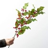 30"H Sullivans Artificial Christmas Delicate Red Holly Berry Spray, Indoor Christmas Decor - 3 of 3