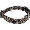Country Brook Petz Deluxe Cheetah Dog Collar - Made in the U.S.A (1/2 Inch, Extra Small) - 3 of 4