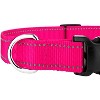 Country Brook Petz Deluxe Reflective Nylon Dog Collar - 4 of 4
