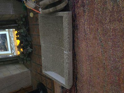 Guest review image 1 of 1, zoom in