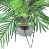 24" x 22" Artificial Phoenix Palm in Ceramic Pot with Stand - LCG Florals - 4 of 4