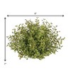 Sullivans Baby Grass Half Orb Decorative Filler 7"H Green - 2 of 2